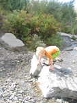 IMG 0034