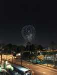 IMG 4167