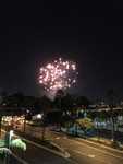 IMG 4168