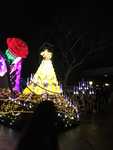 IMG 4219