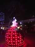IMG 4228