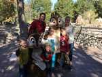 IMG 4241