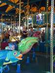IMG 4256