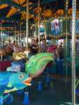 IMG 4257