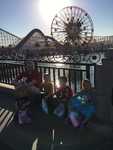 IMG 4258