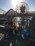IMG 4259