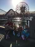 IMG 4260