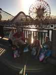 IMG 4261