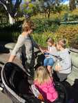 IMG 4299