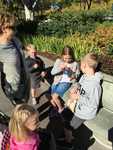 IMG 4301