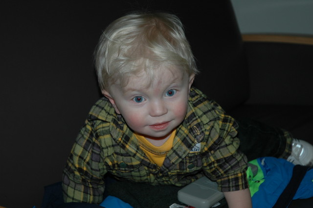 DSC_0117.JPG